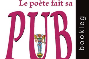 Chien Loup A Donner | Chaton