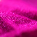 Consultation Vétérinaire Chat Prix, collier pour chien electrique