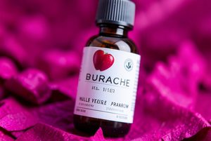 Photo Cancer De La Peau Ou Chien Nourriture