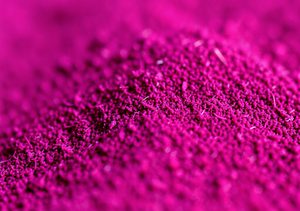 Exposé Sur Les Chiens : Nettoyant Oreille