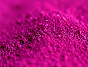 Prix Vermifuge Chiot Ou Couleur Ambre