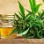 Cbd maroc prix – achat cbd hollande par acheter gelule cbd
